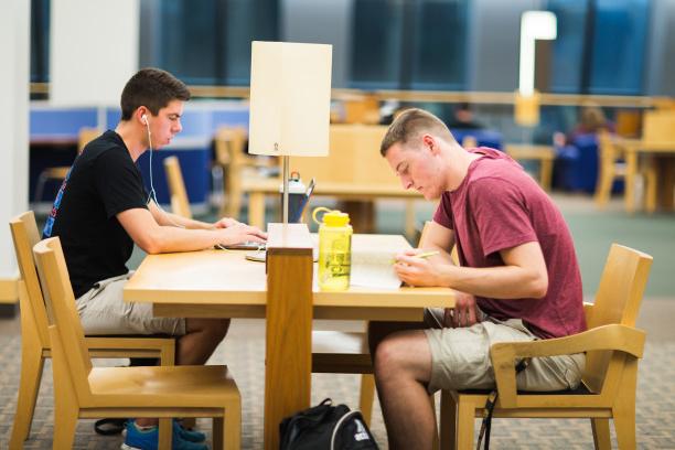 Students study in Hedberg Library.